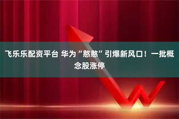 飞乐乐配资平台 华为“憨憨”引爆新风口！一批概念股涨停