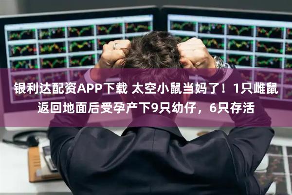 银利达配资APP下载 太空小鼠当妈了！1只雌鼠返回地面后受孕产下9只幼仔，6只存活